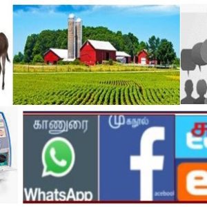 வெருளி நோய்கள் 1581-1585 : இலக்குவனார் திருவள்ளுவன்